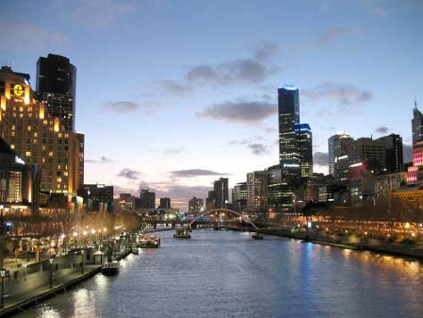 Melbourne bonito