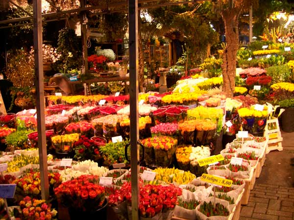 Mercado de las flores Bloemenmarkt Ámsterdam