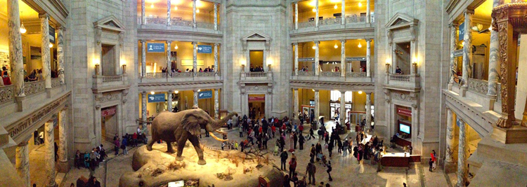 National Museum of Natural History