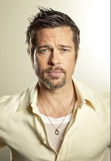 Brad Pitt provocador