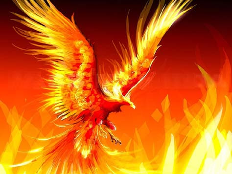 Ave Fenix