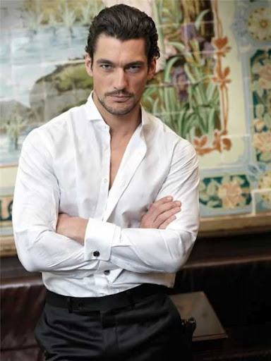 David Gandy, sexy