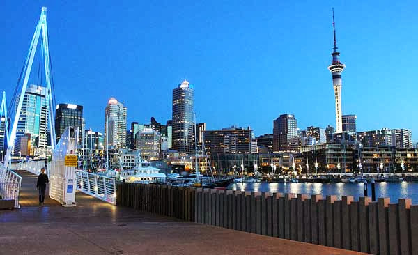 Auckland bonito