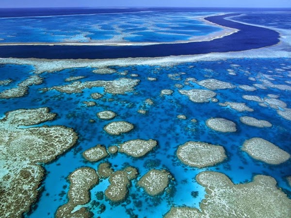 Gran barrera de coral (Australia)