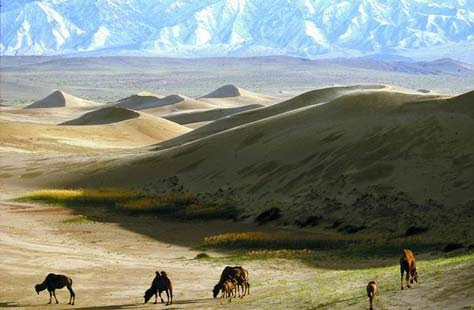 Gobi, desierto