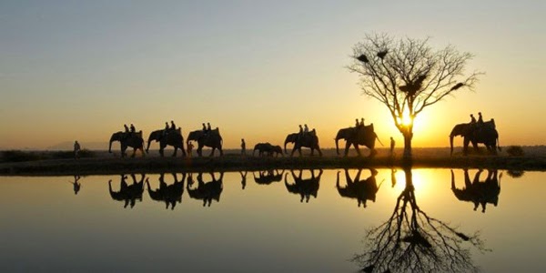 Safari sudafricano (Sudáfrica)