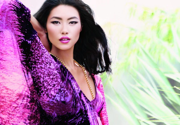 Liu Wen