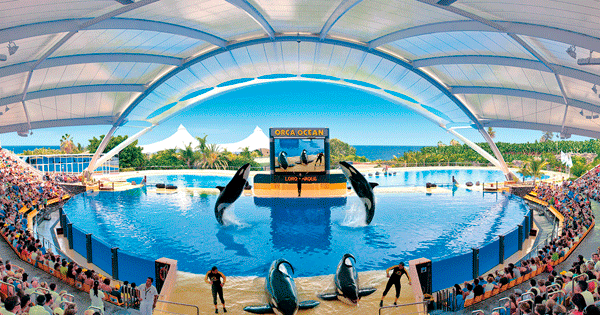 Loro Parque