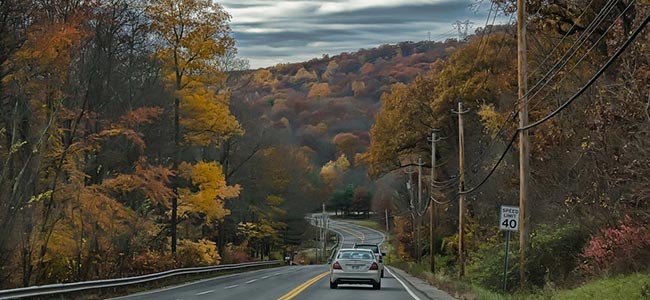 Conducción en otoño