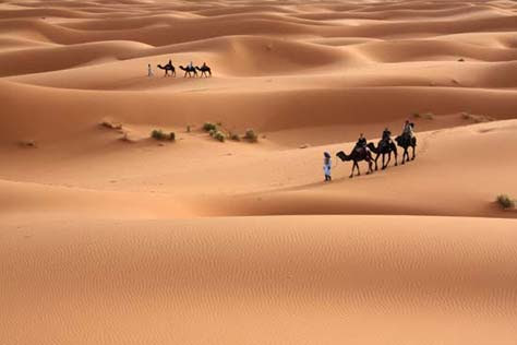 Sáhara, desierto