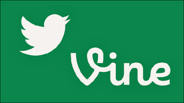 Vine