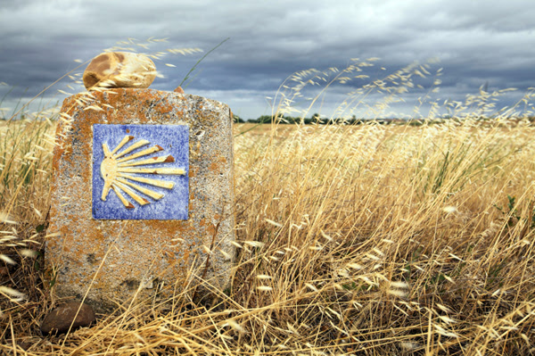 Camino de Santiago