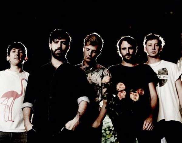 Foals