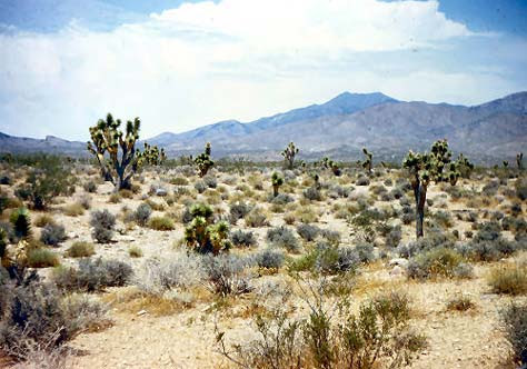 Mojave, desierto