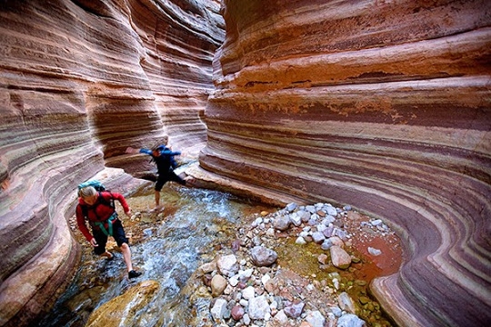 Naturaleza en acción