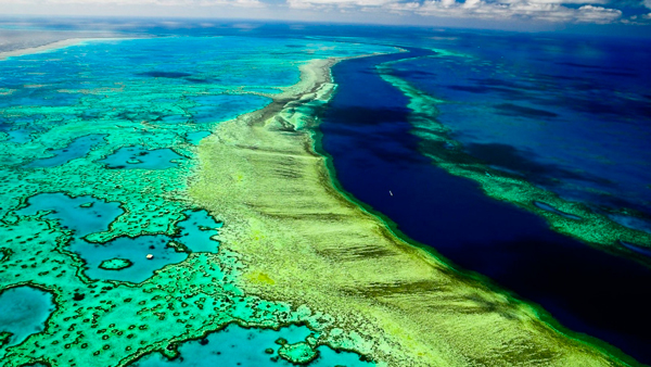 Gran Barrera de Coral (Australia)