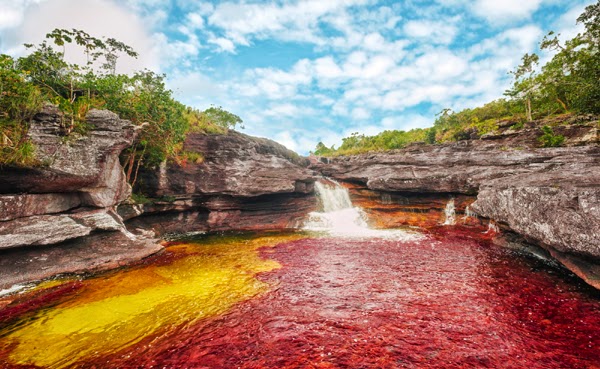 Caño Cristales (Colombia)