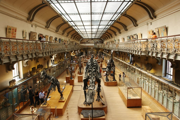 Natural History Museum