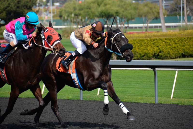 Carreras de caballos