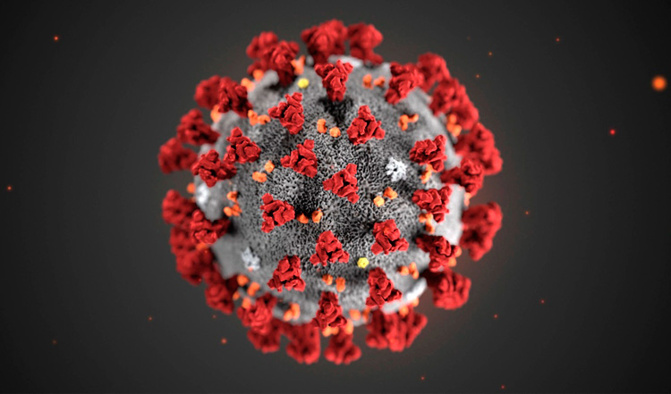 Coronavirus COVID-19