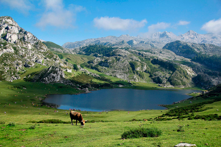 Lagos de Covadonga en Asturias