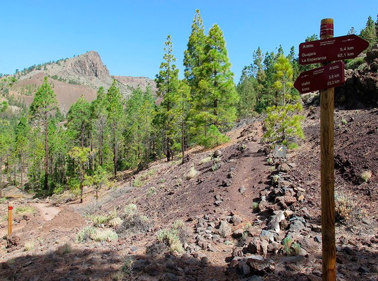 Monte Guajara en Vilaflor, Tenerife