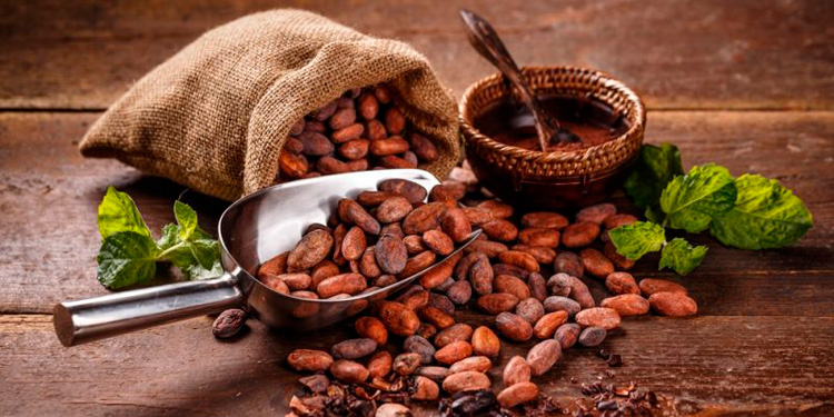 Cacao