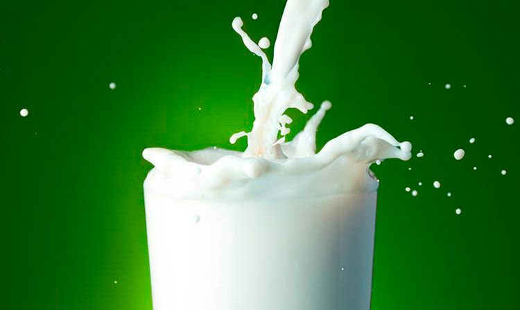 Leche
