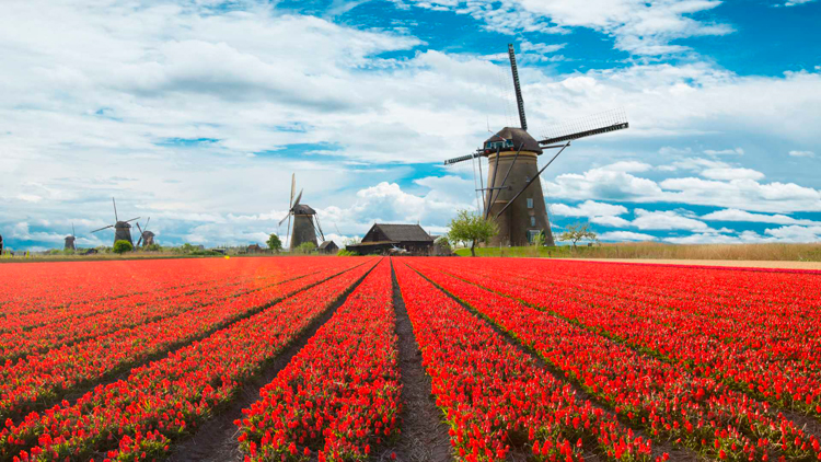 Holanda