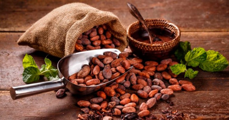 10 curiosidades sobre el Cacao