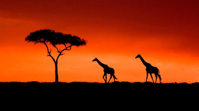 10 curiosidades sobre África