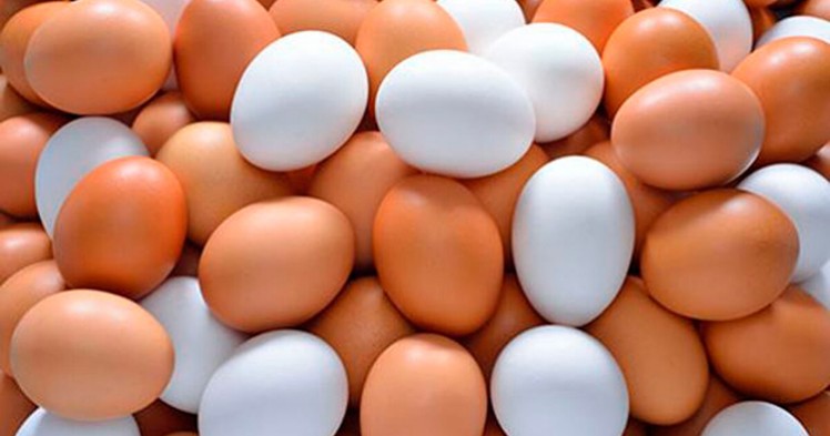 10 cosas que debes saber sobre el Huevo